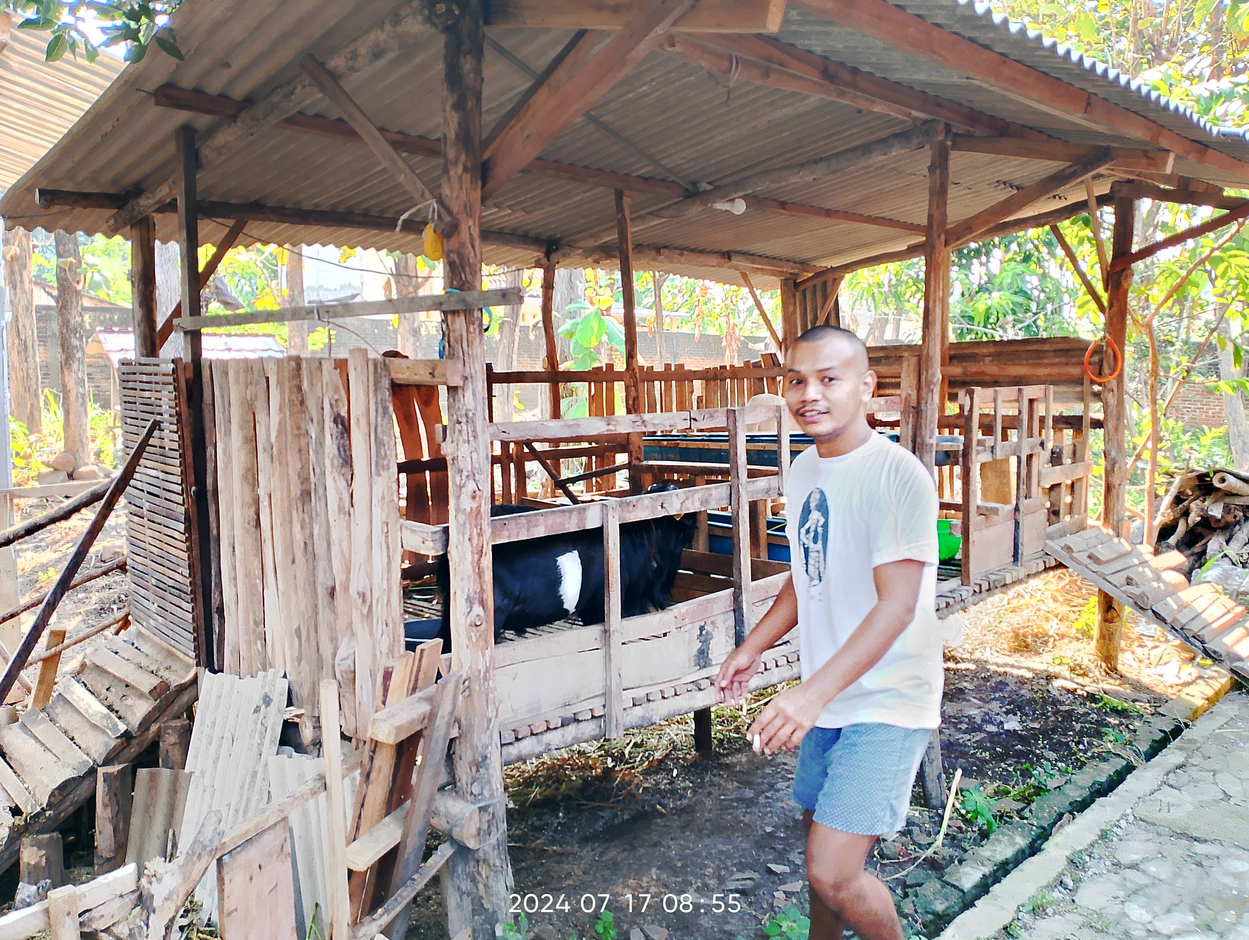 Intip Peternakan Domba Jaya Makmur Farm yang Sudah Jarang DI Kota